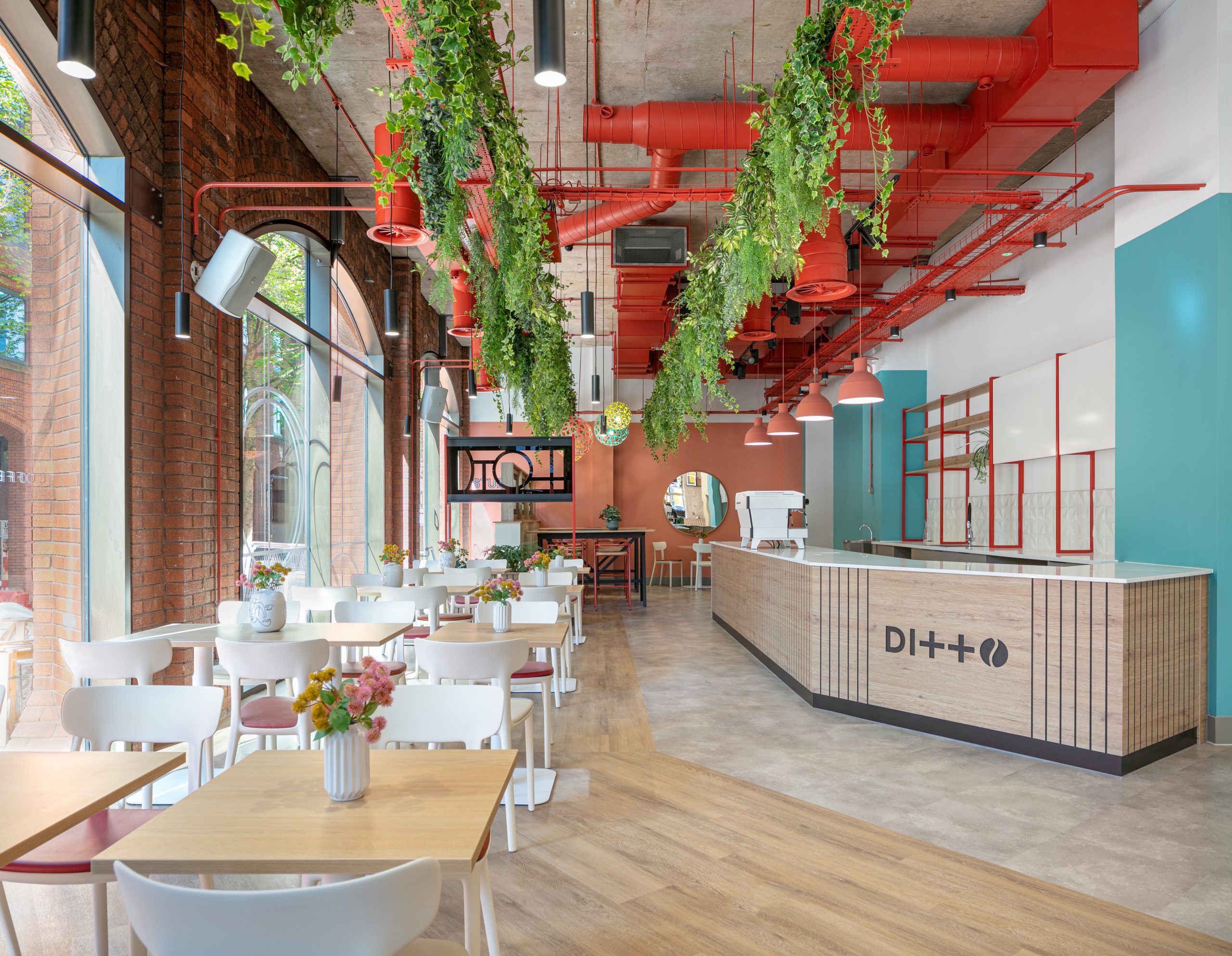 Ditto Coffee full café image