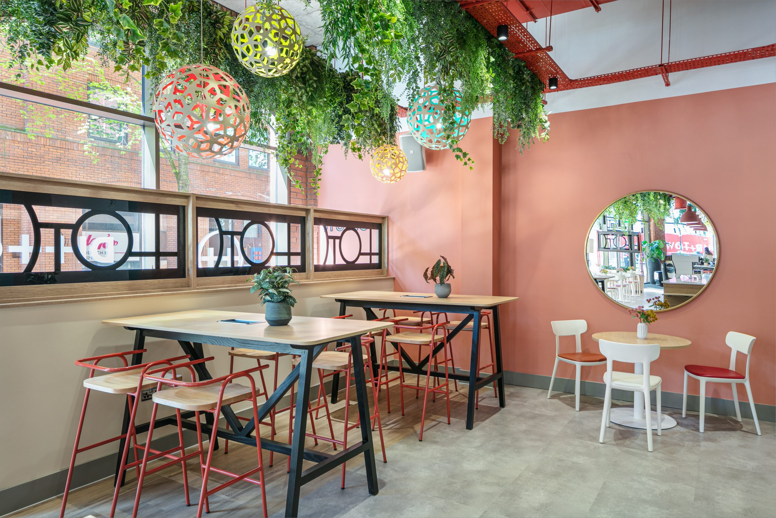 Ditto Coffee seating and biophilia